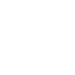 A computer icon